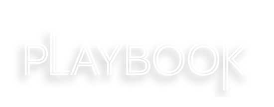 sustainability in procurement playbook 2024